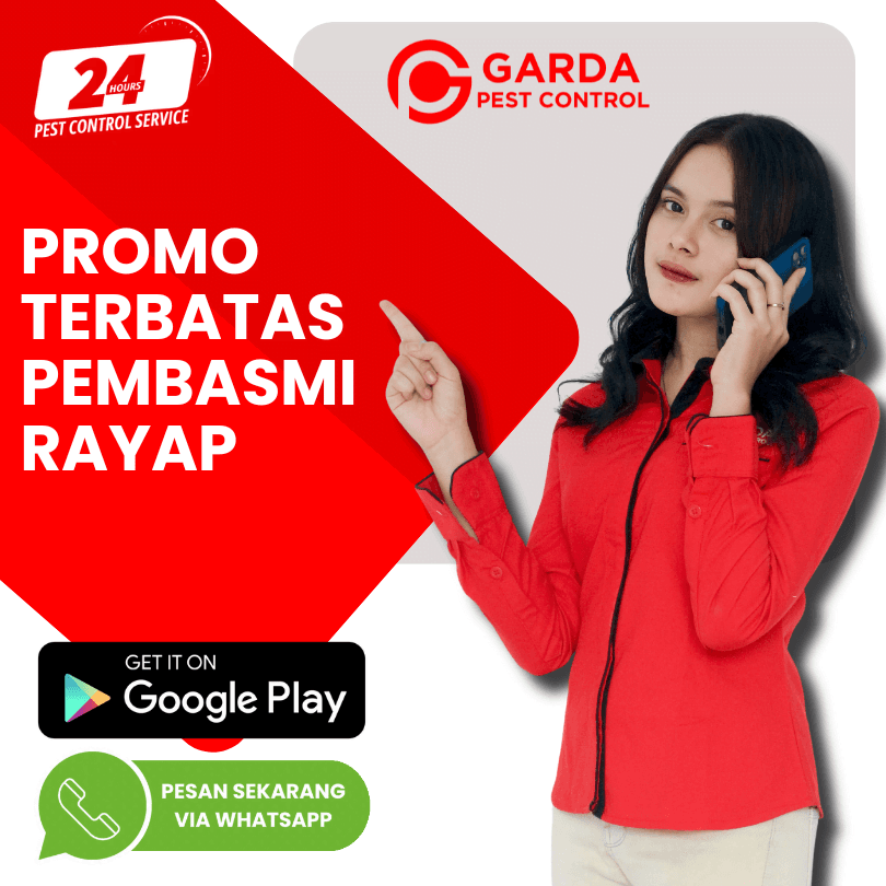 Harga Jasa Anti Rayap di Cianjur