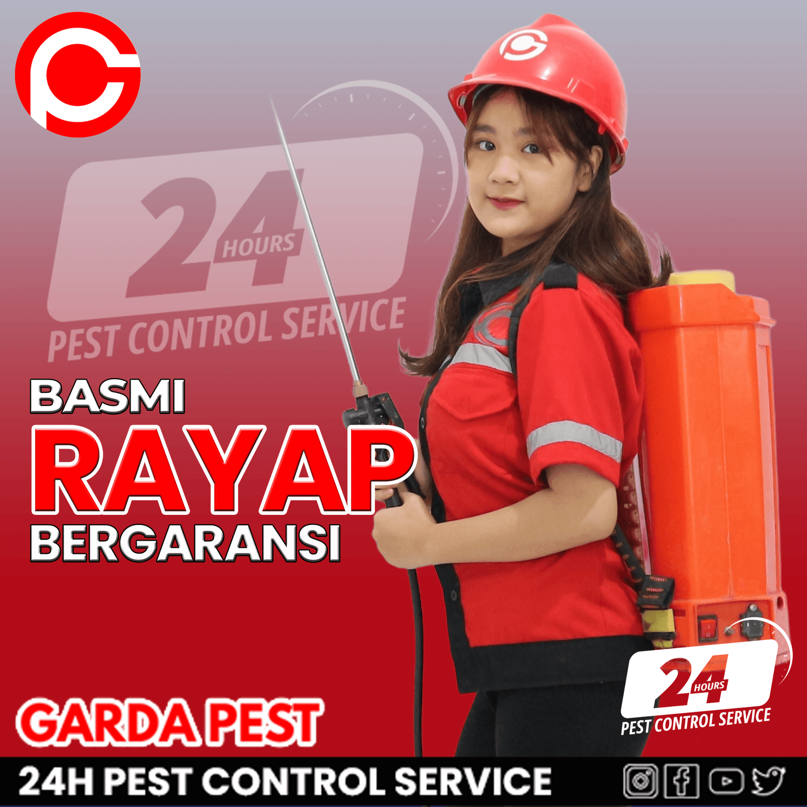 Jasa Anti Rayap Jakarta