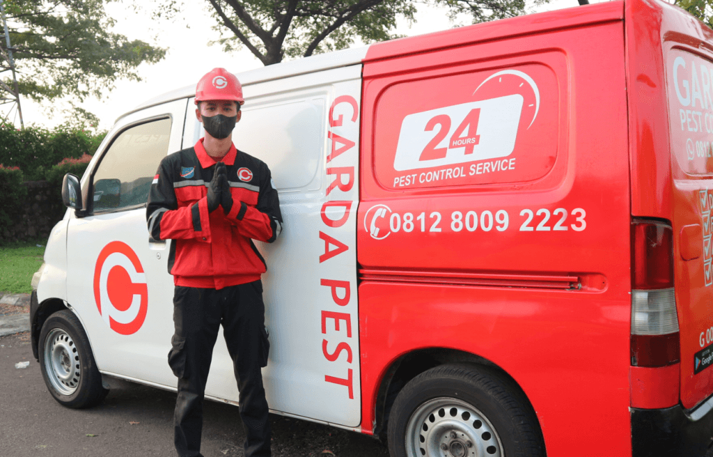 Jasa Anti Rayap di Cikarang Bekasi Cepat dan Bergaransi