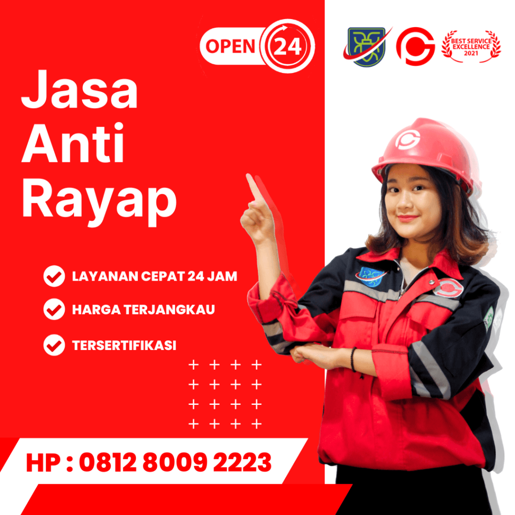 Jasa Pembasmi Rayap di Surabaya