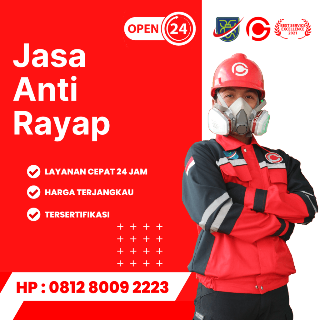 Jasa Anti Rayap Murah di Bekasi