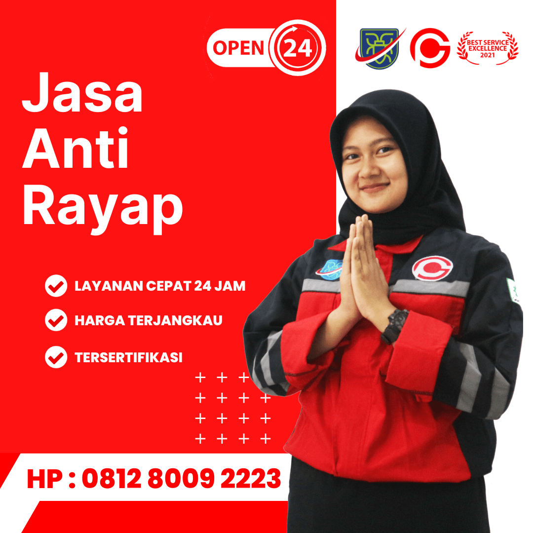 Jasa Anti Rayap di Bandung