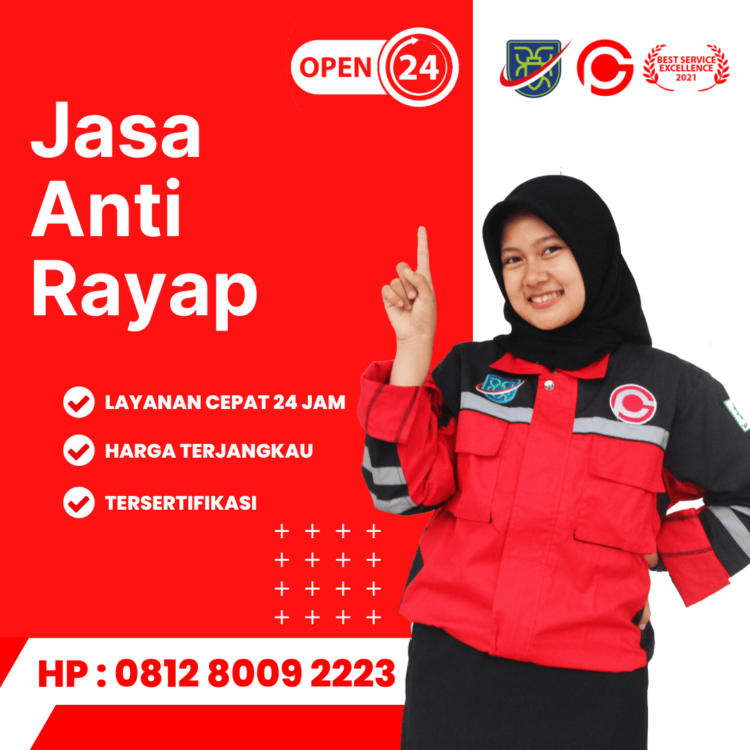 Jasa Pembasmi Rayap di Bandung