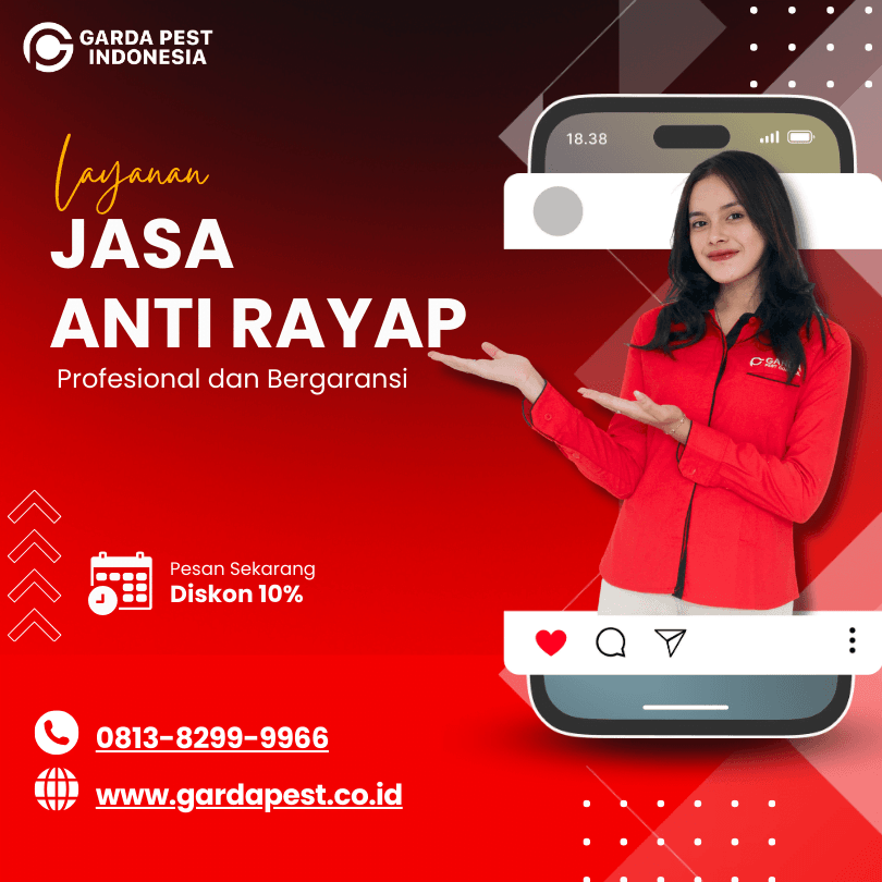 Jasa Anti Rayap di Bogor