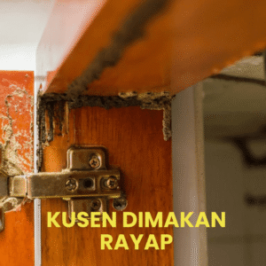 Jasa Anti Rayap Garda Agata Nusantara