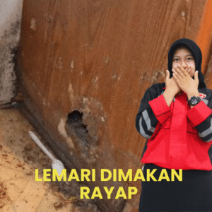 Jasa Anti Rayap Garda Agata Nusantara