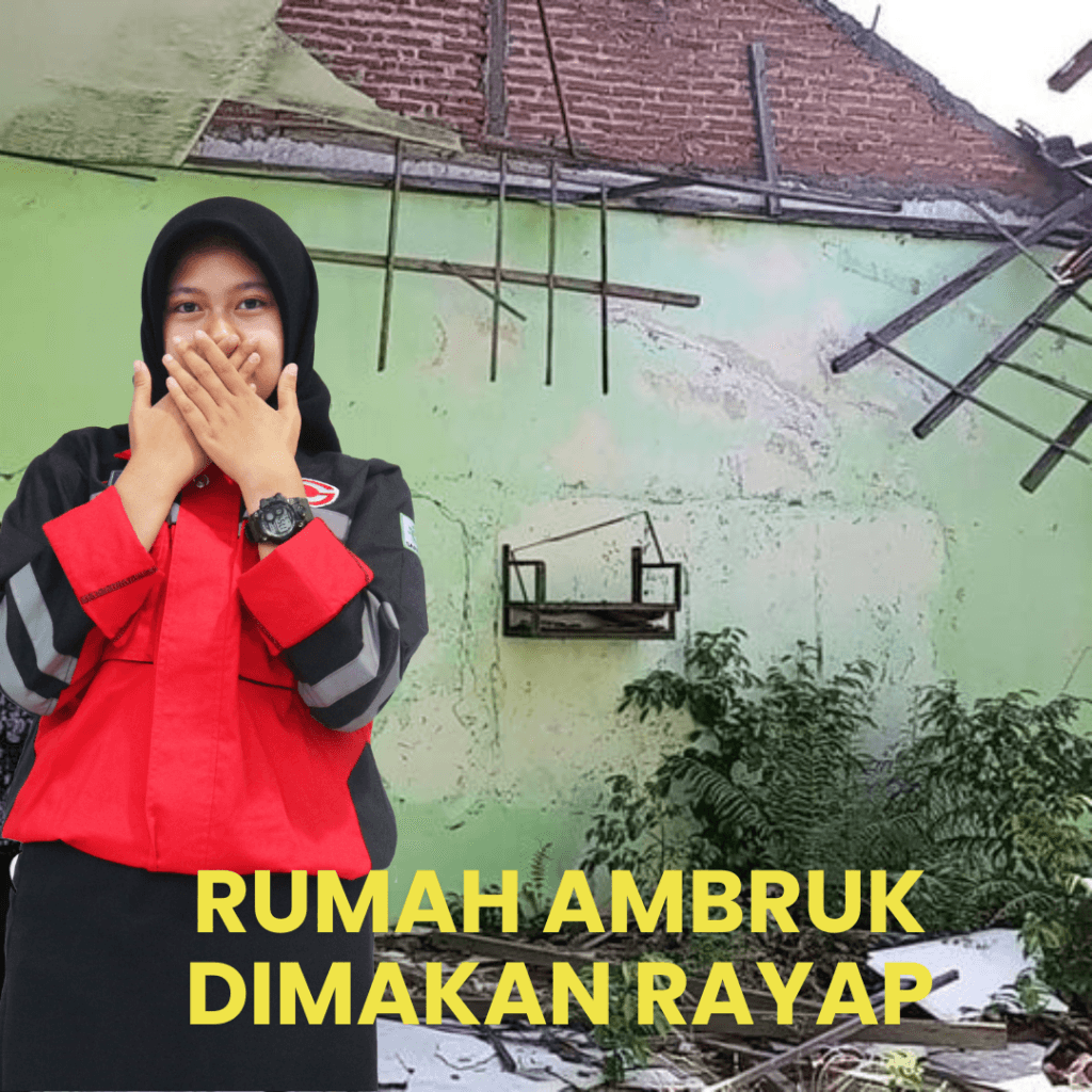 Cara Membasmi Rayap di Rumah : Solusi Paling Efektif