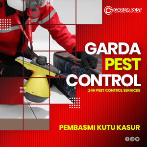 Jasa Pembasmi Kutu Busuk Bandung Bergaransi Resmi