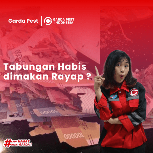 Jasa Pembasmi Rayap Semarang