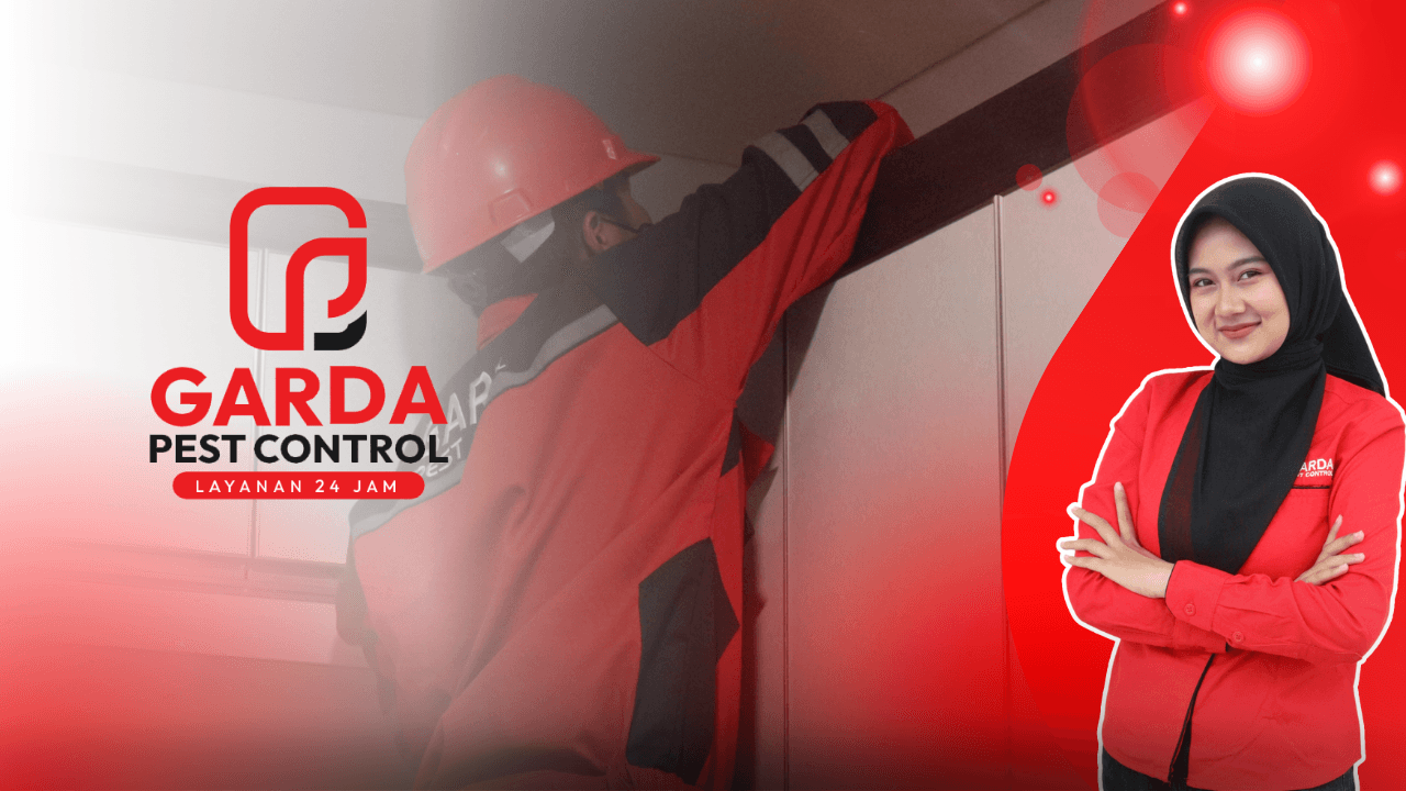 Jasa Pembasmi Tikus Bandung Layanan Cepat 24 Jam