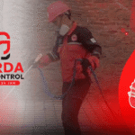 Pembasmi Rayap di Tambun Bekasi Bergaransi Resmi